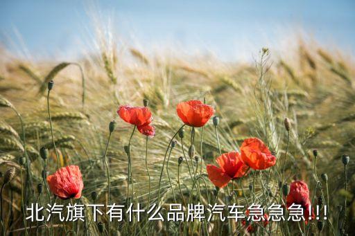 北京興東方實業有限公司,旭日東方實業有限公司