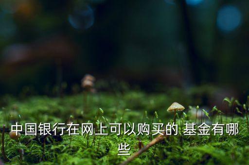 中國銀行在網上可以購買的 基金有哪些
