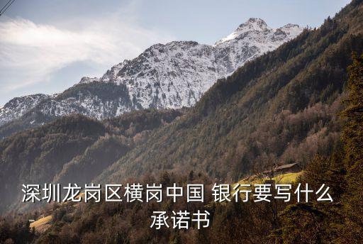 深圳龍崗區橫崗中國 銀行要寫什么 承諾書