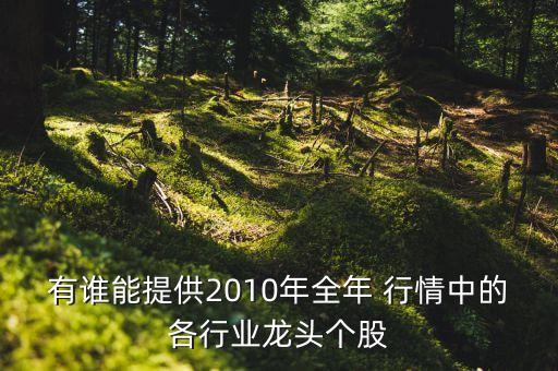 有誰能提供2010年全年 行情中的各行業龍頭個股