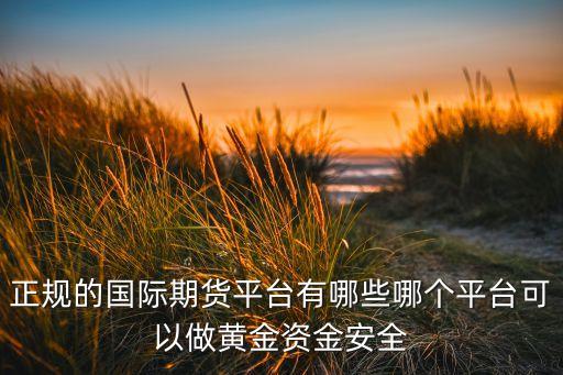 正規的國際期貨平臺有哪些哪個平臺可以做黃金資金安全