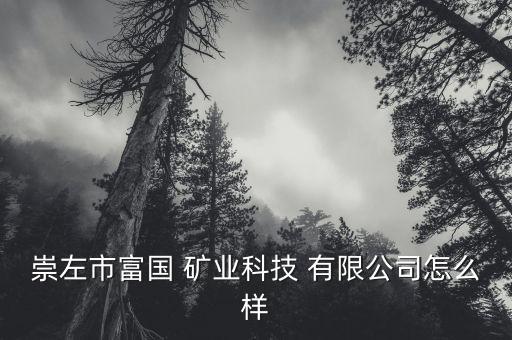 廣西金隆興礦業有限公司,錫林郭勒盟隆興礦業有限公司
