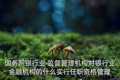 國務院銀行業 監督管理機構對銀行業金融機構的什么實行任職資格管理