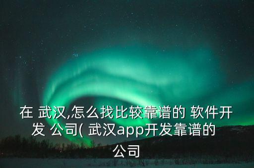 在 武漢,怎么找比較靠譜的 軟件開發 公司( 武漢app開發靠譜的 公司