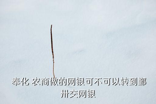 奉化 農商做的網銀可不可以轉到鄞卅交網銀