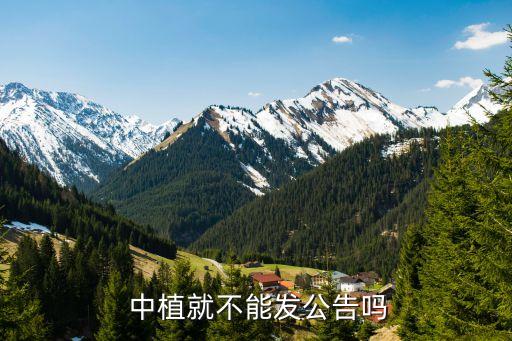 中植就不能發公告嗎