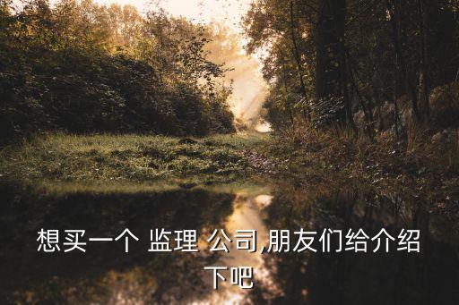 想買一個 監理 公司,朋友們給介紹下吧