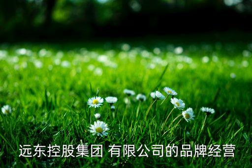  遠東控股集團 有限公司的品牌經營