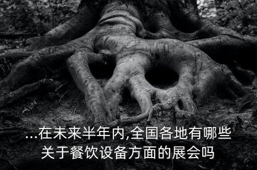 ...在未來半年內,全國各地有哪些關于餐飲設備方面的展會嗎