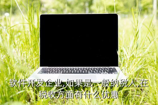 軟件開發企業,如果是一般納稅人,在稅收方面有什么優惠
