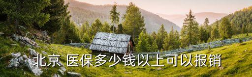  北京 醫保多少錢以上可以報銷