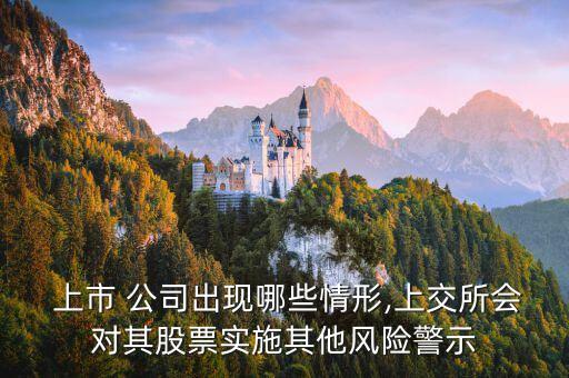  上市 公司出現哪些情形,上交所會對其股票實施其他風險警示