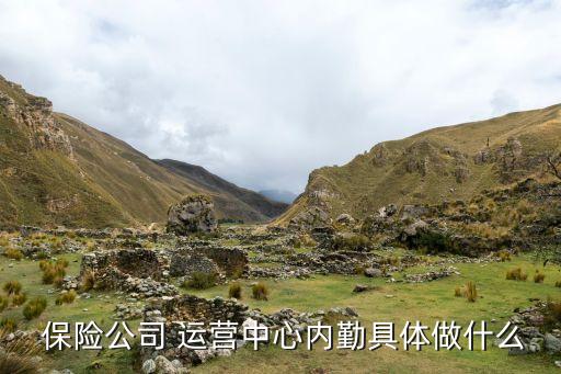  保險公司 運營中心內勤具體做什么