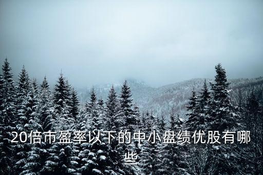 20倍市盈率以下的中小盤績優股有哪些