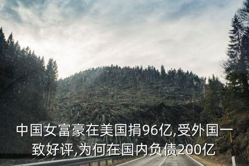 中國女富豪在美國捐96億,受外國一致好評,為何在國內負債200億