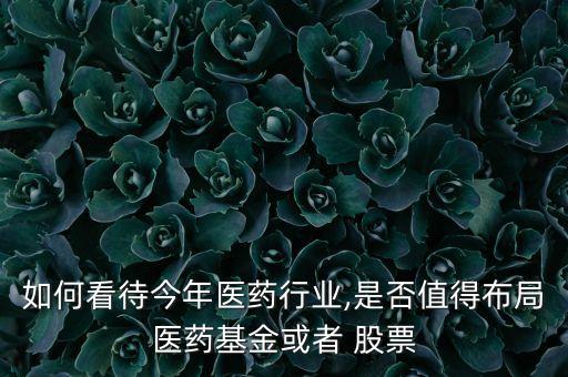 如何看待今年醫藥行業,是否值得布局醫藥基金或者 股票