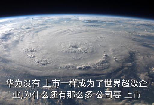 獨一無二上市公司,行業獨一無二的上市公司