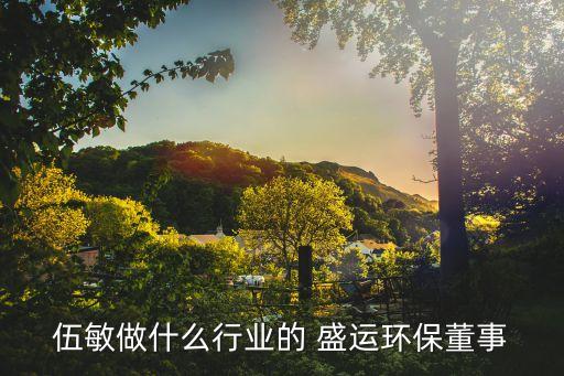 伍敏做什么行業的 盛運環保董事