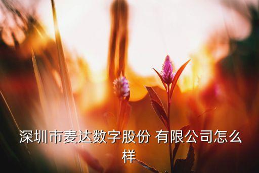 深圳東紅開發磁盤有限公司