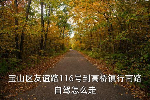 寶山區友誼路116號到高橋鎮行南路自駕怎么走