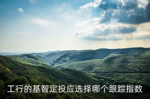工行的基智定投應選擇哪個跟蹤指數