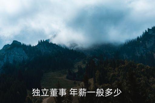 江西上市公司年薪,上市公司銷售總監年薪一般多少