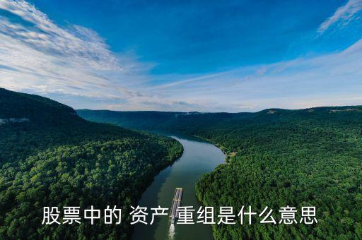 上市公司資產重組案例,創業板上市公司重大資產重組審核規則