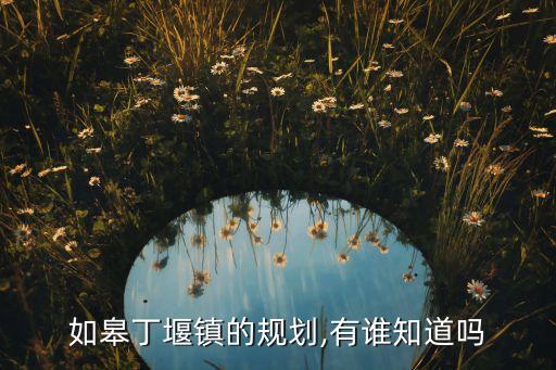 如皋丁堰鎮的規劃,有誰知道嗎