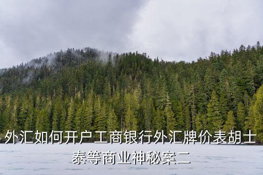 外匯如何開戶工商銀行外匯牌價表胡士泰等商業神秘案二