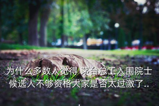 為什么多數人覺得 茅臺總工入圍院士候選人不夠資格大家是否太過激了...