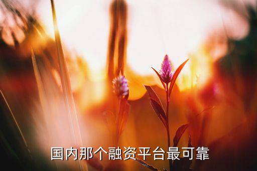 國內天使投資機構,天使投資機構100強