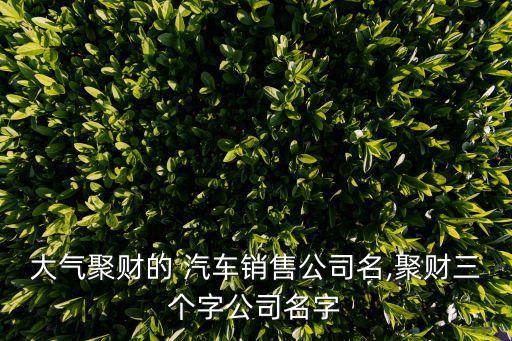 開(kāi)隆汽車集團(tuán)訪談