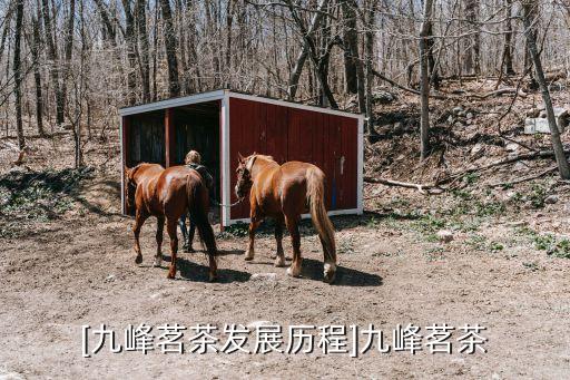 [九峰茗茶發展歷程]九峰茗茶
