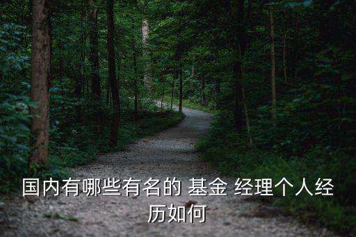 2015年金牛基金經理