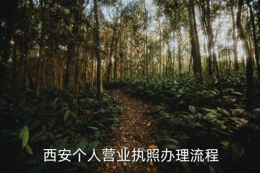  西安個人營業執照辦理流程