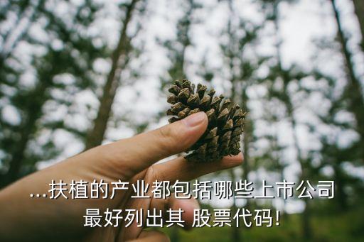 ...扶植的產業都包括哪些上市公司最好列出其 股票代碼!