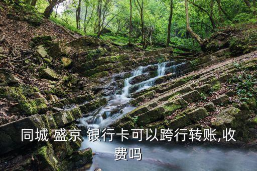 同城 盛京 銀行卡可以跨行轉賬,收費嗎
