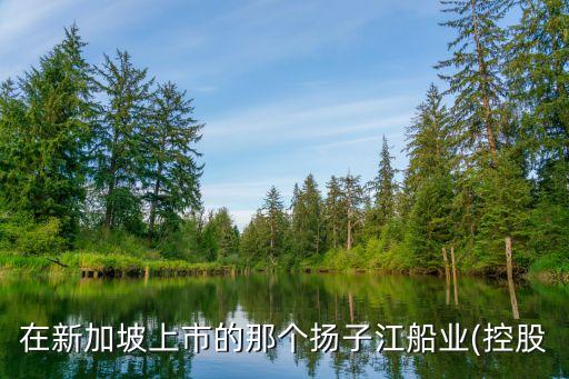 在新加坡上市的那個揚子江船業(控股
