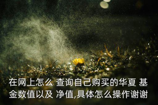 在網上怎么 查詢自己購買的華夏 基金數值以及 凈值,具體怎么操作謝謝