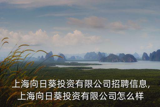 上海合懿投資管理合伙企業,寧波和榮鼎新投資管理合伙企業