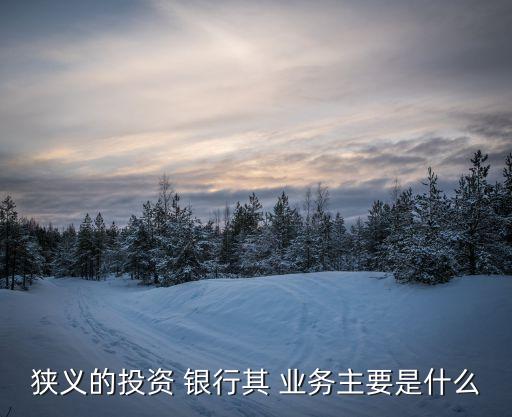 狹義的投資 銀行其 業務主要是什么
