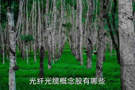 漢國置業集團有限公司,中粵(深圳)置業集團有限公司