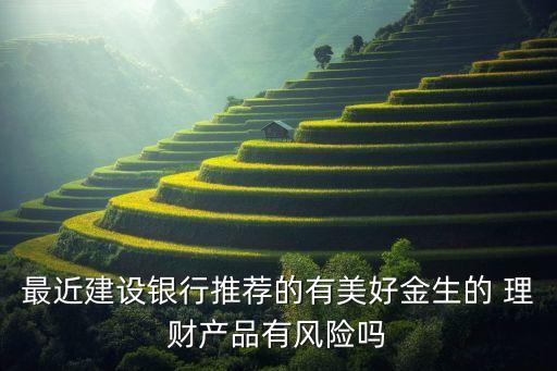 最近建設銀行推薦的有美好金生的 理財產品有風險嗎