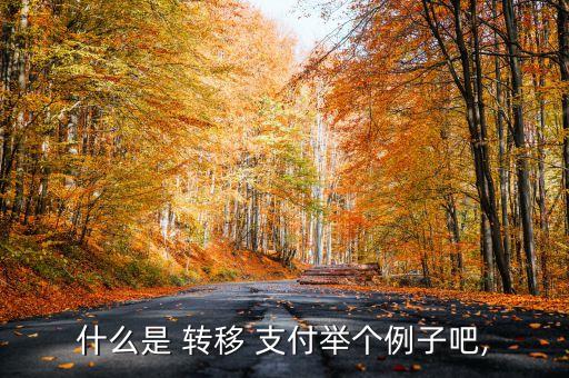 中國現金轉移支付項目,政府轉移支付包括哪些項目