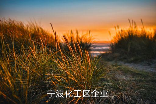 寧波化工區企業