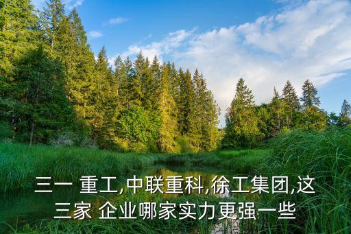 三一 重工,中聯重科,徐工集團,這三家 企業哪家實力更強一些