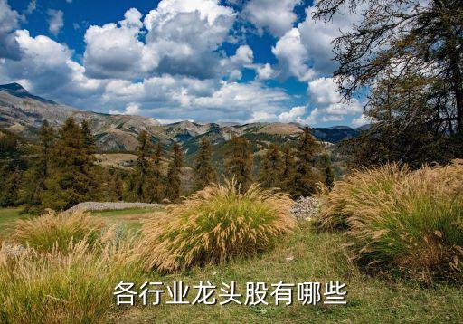 各行業龍頭股有哪些