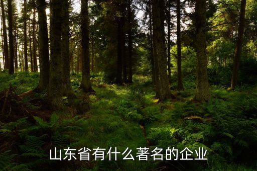 山東省有什么著名的企業