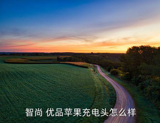  智尚 優品蘋果充電頭怎么樣