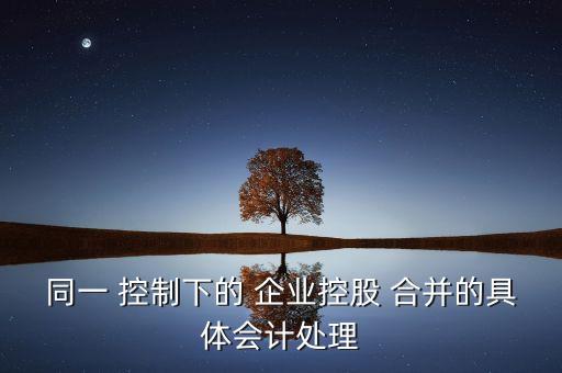 同一 控制下的 企業控股 合并的具體會計處理